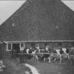 Sjoerd Buwalda